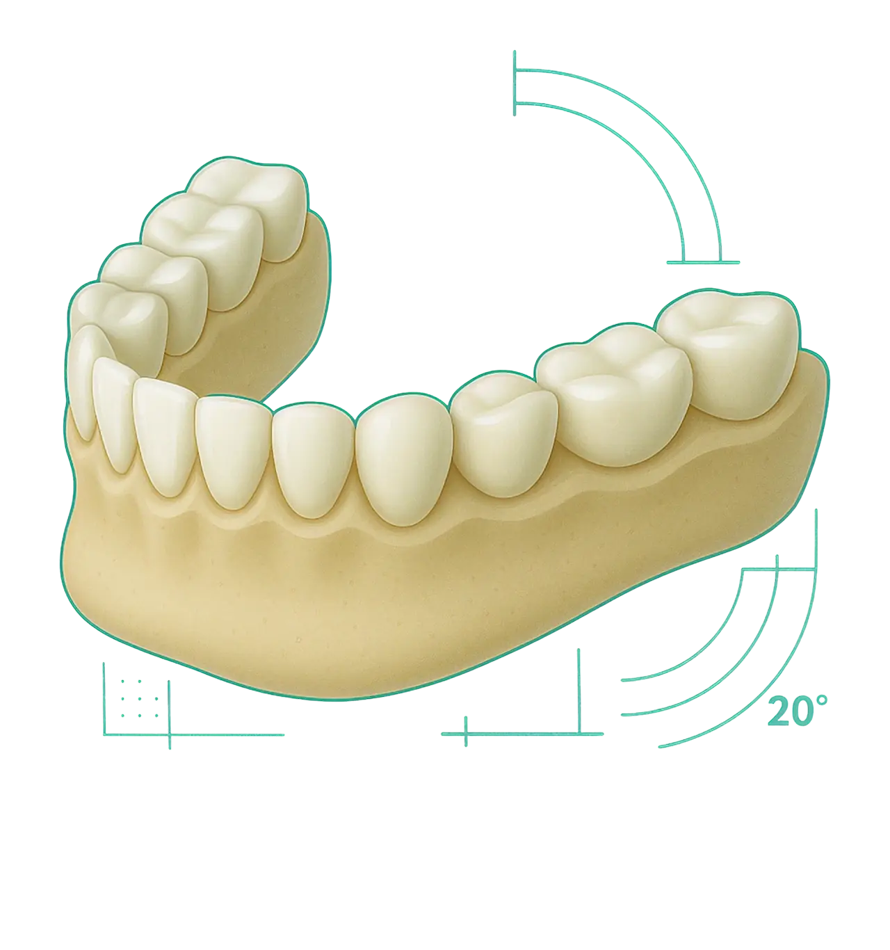 Illustration of a full lower dental arch with teeth, showing angle measurement lines and a 20-degree indicator.
