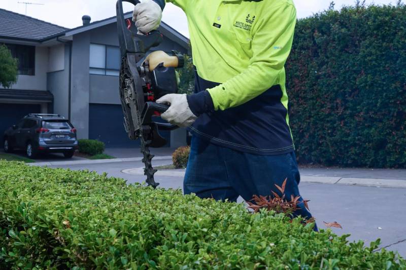 Hedge Trimming