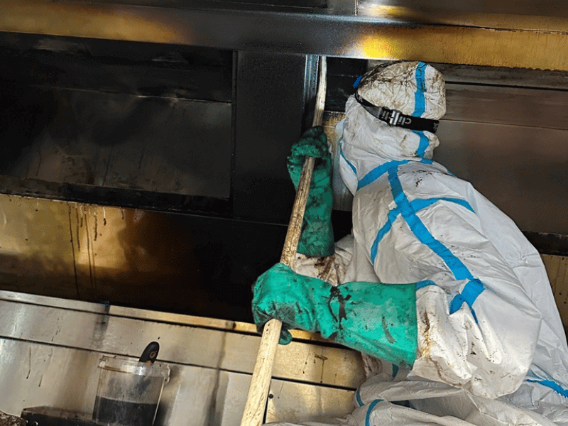Professional Commercial Kitchen Cleaners