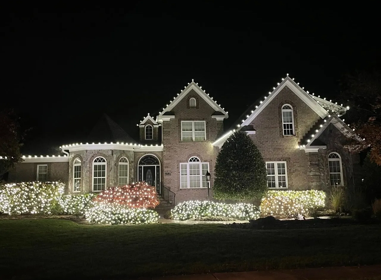 Front house with plants and Christmas Lights