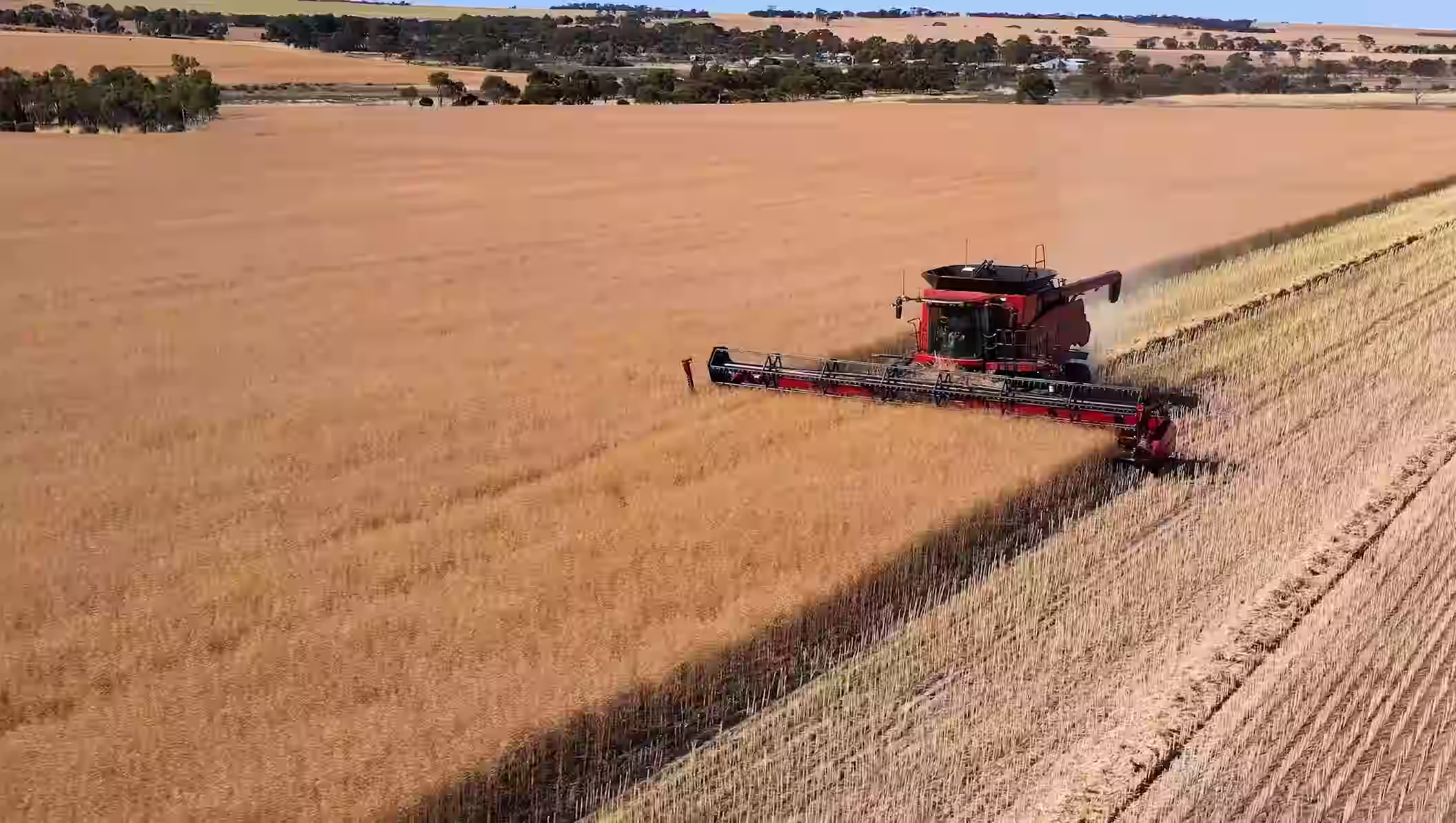 Aerial view of wheat harvesting demonstrating agricultural use cases for Acova technology.