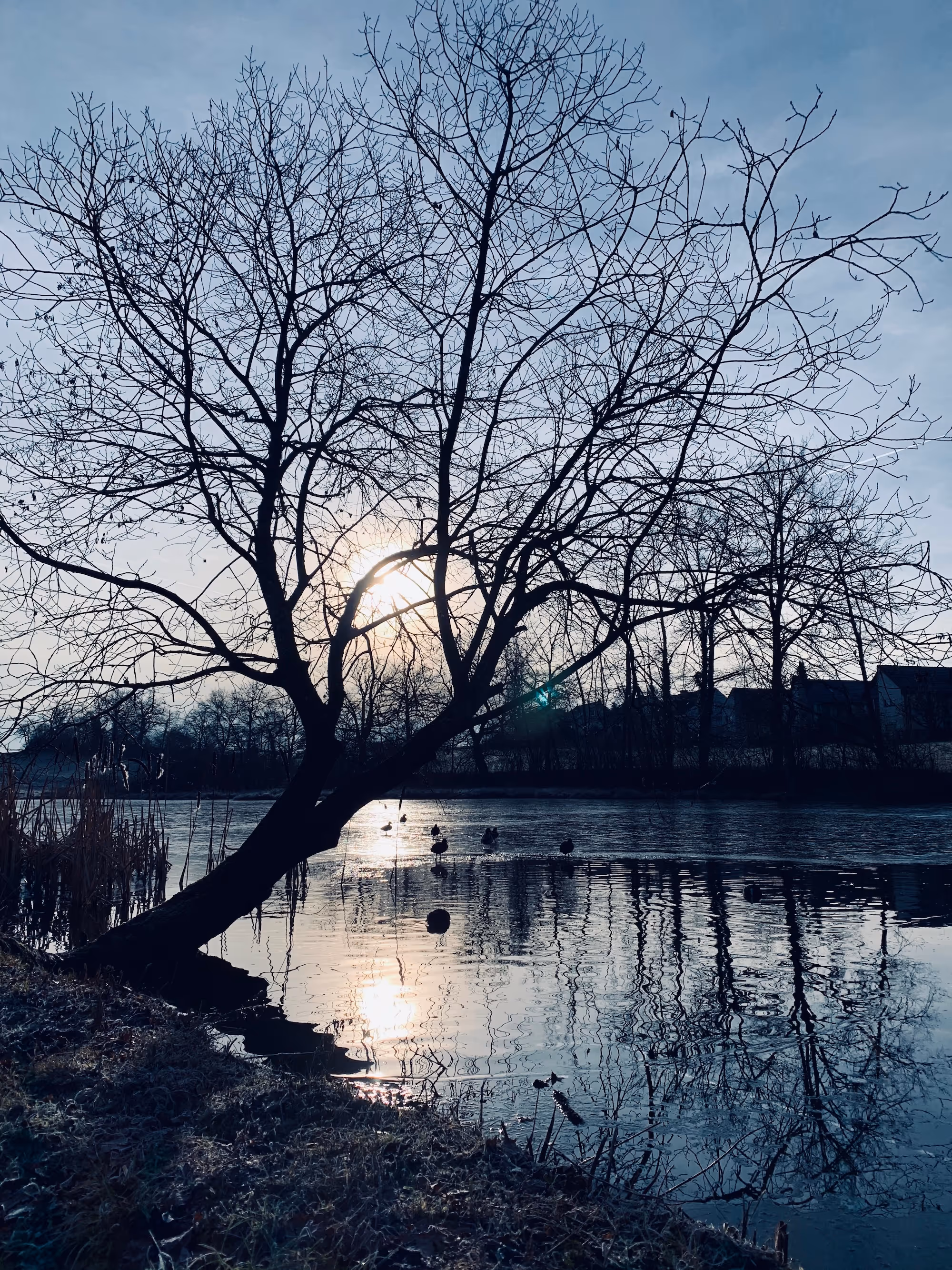 Einfamilienhaus mit Aussicht