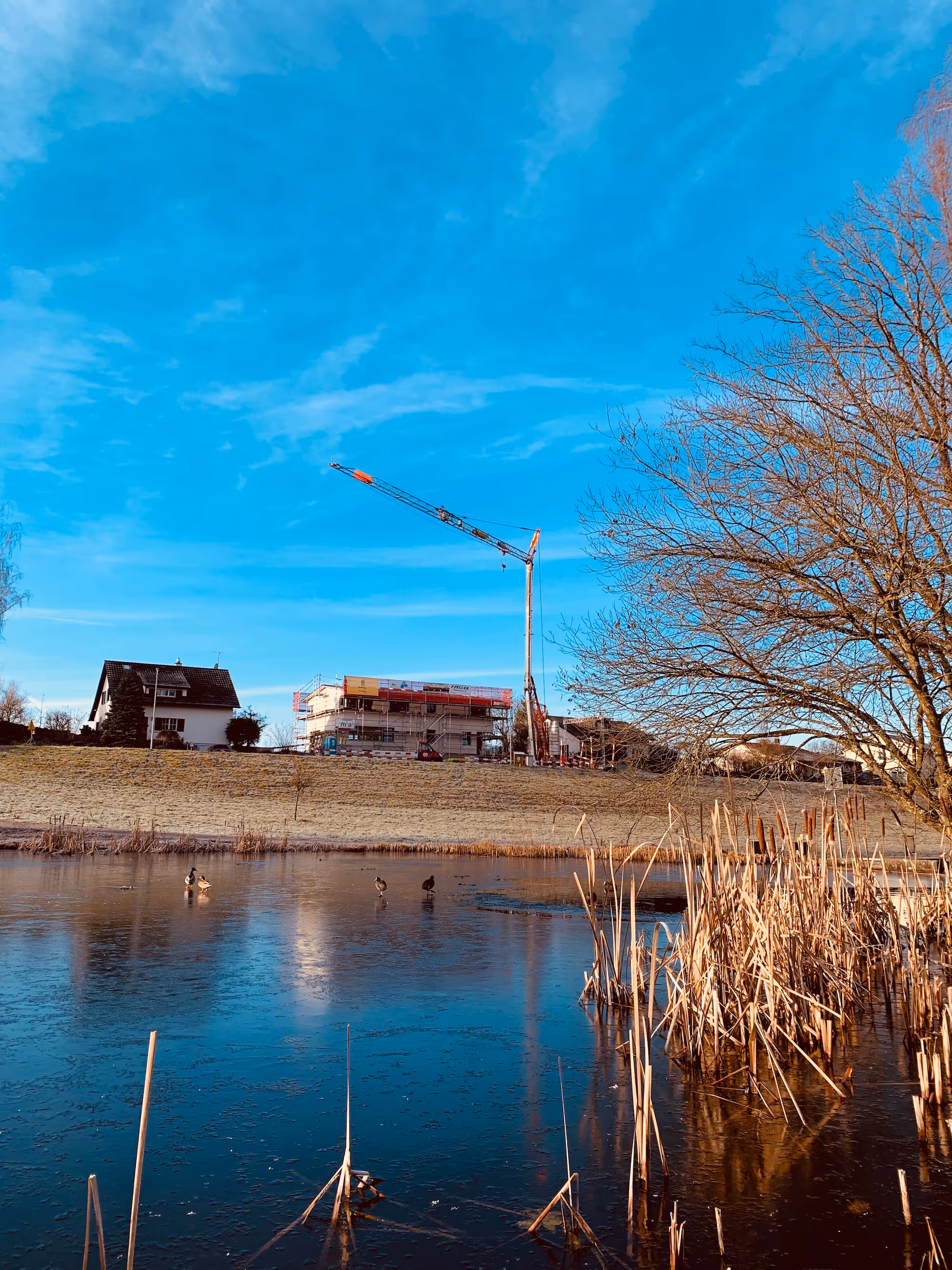 Einfamilienhaus mit Aussicht