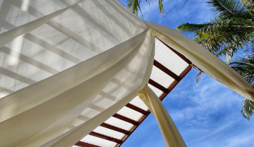 Summer 2023: Newsletter