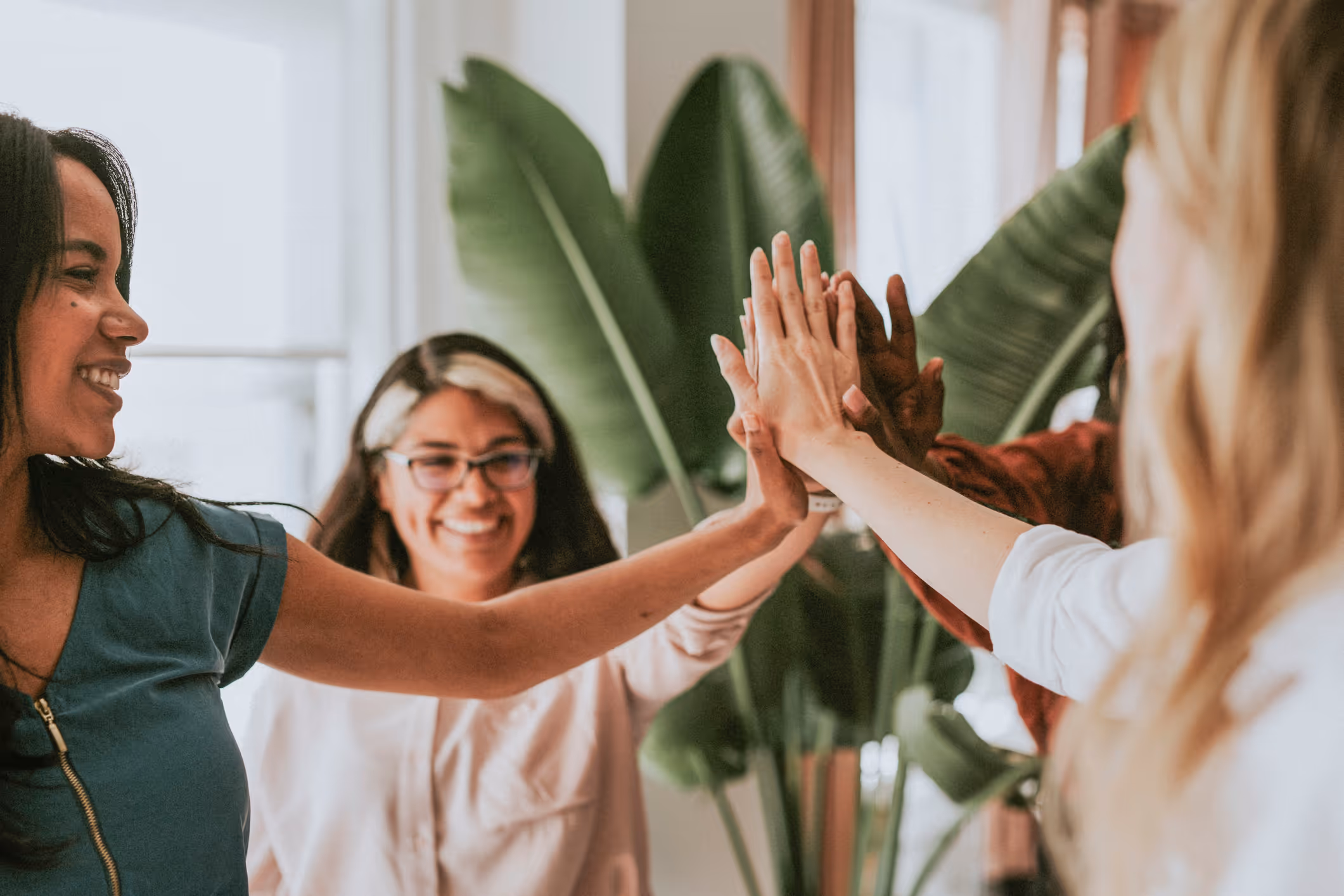 Four diverse women smiling and giving a group high-five in a bright room with large green plants.