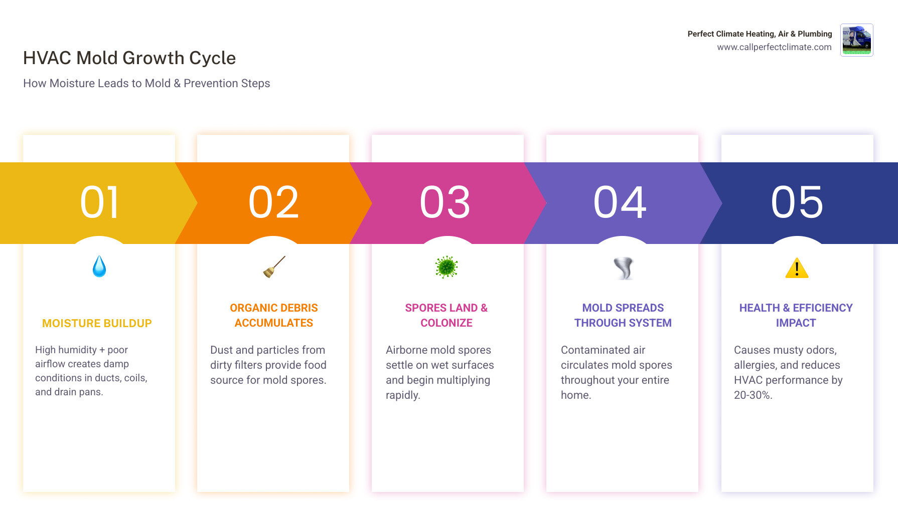 Infographic showing HVAC mold growth cycle from moisture buildup to mold spread and prevention steps - how proper hvac Infographic showing HVAC mold growth cycle from moisture buildup to mold spread and prevention steps - how proper hvac