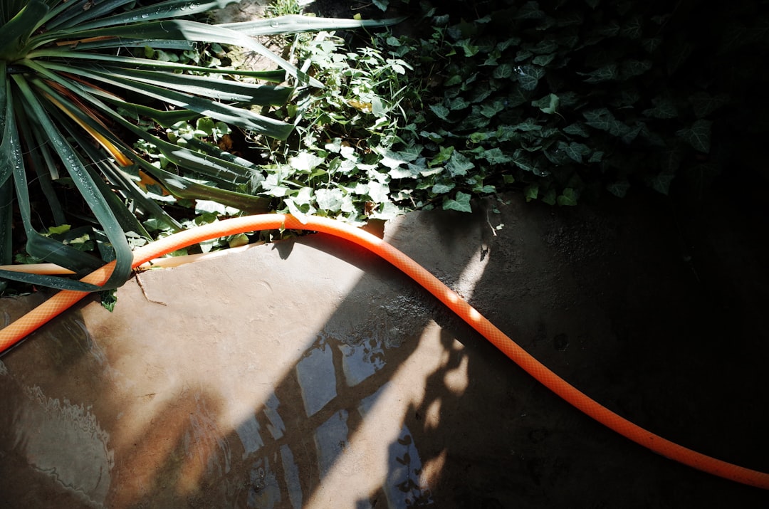 Outdoor garden hose connected to a clean brass spigot on a brick home - plumbing tips for midwest homeowners Outdoor garden hose connected to a clean brass spigot on a brick home - plumbing tips for midwest homeowners