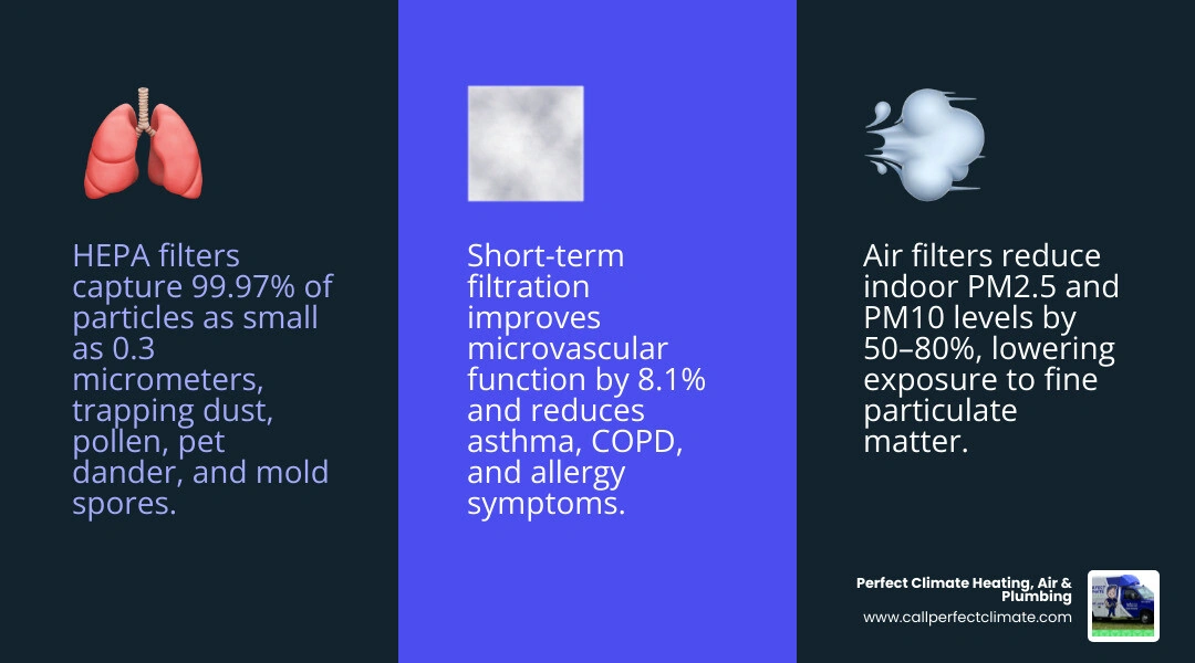 Infographic showing how air filtration improves respiratory health step by step with filter types and health benefits - how Infographic showing how air filtration improves respiratory health step by step with filter types and health benefits - how