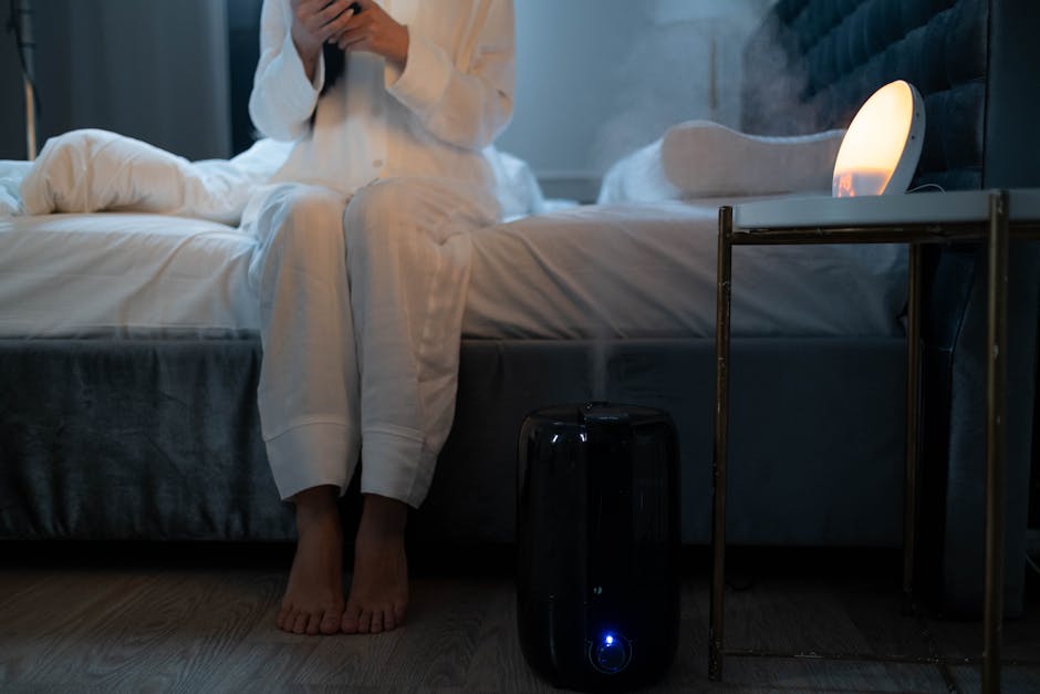 Why Your Home Needs a Humidifier to Survive the Cold