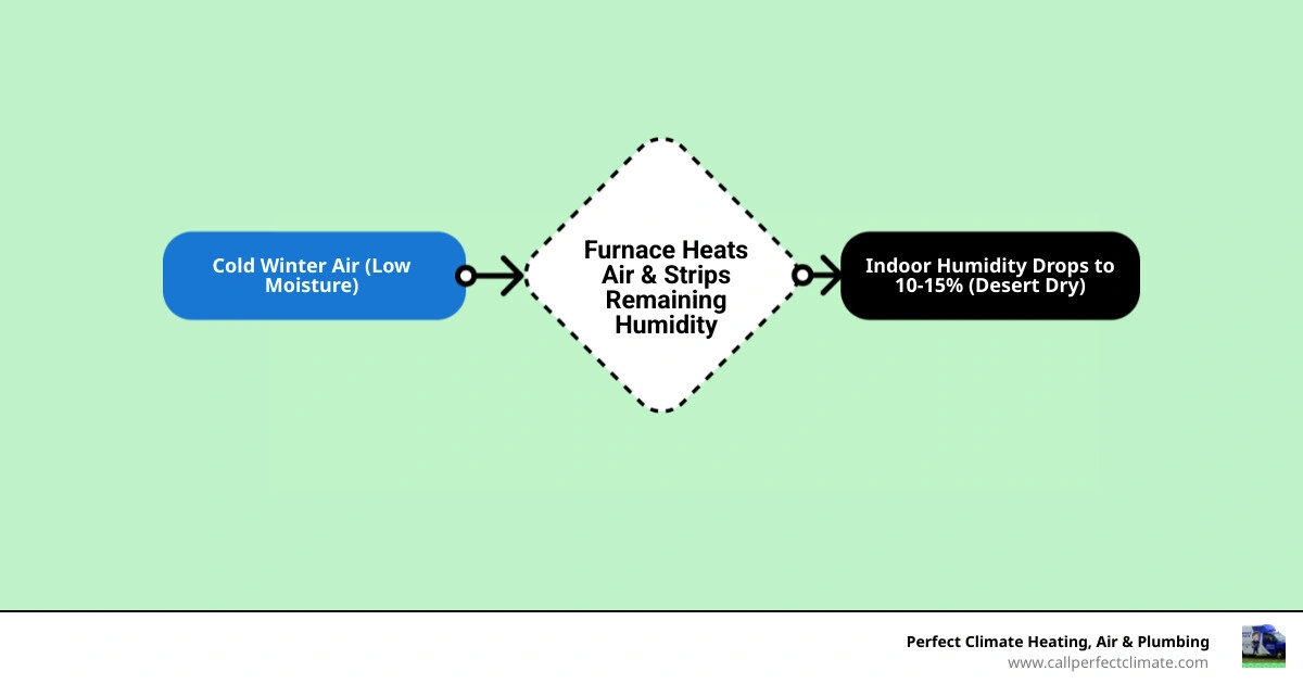 Infographic showing how furnaces strip moisture from indoor air and how whole-house humidifiers restore balance in winter