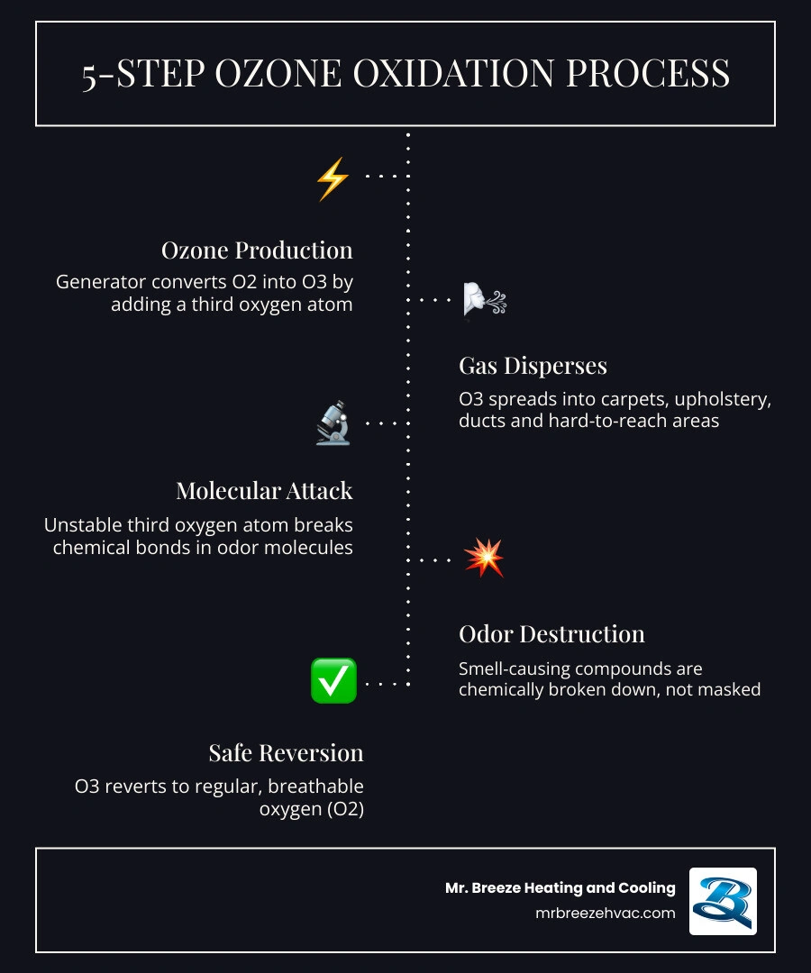 Infographic showing the 5-step ozone oxidation process for removing home odors, from O3 production to safe O2 breakdown
