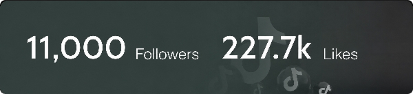 Tiktok Follower