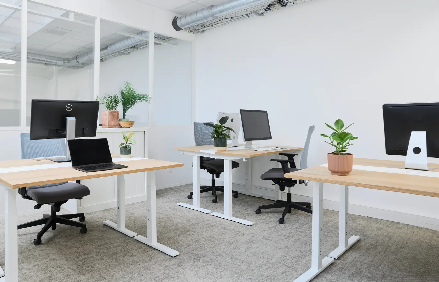 Bureau moderne avec plusieurs postes de travail équipés d'ordinateurs, chaises de bureau noires, et plantes en pot dans un espace lumineux et épuré.