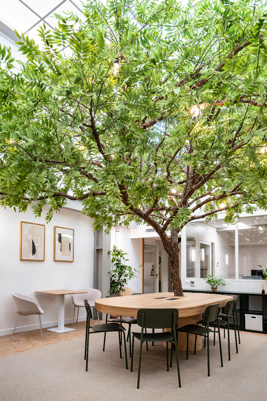 Table with chairs and a large tree growing through its center in a modern indoor office space.