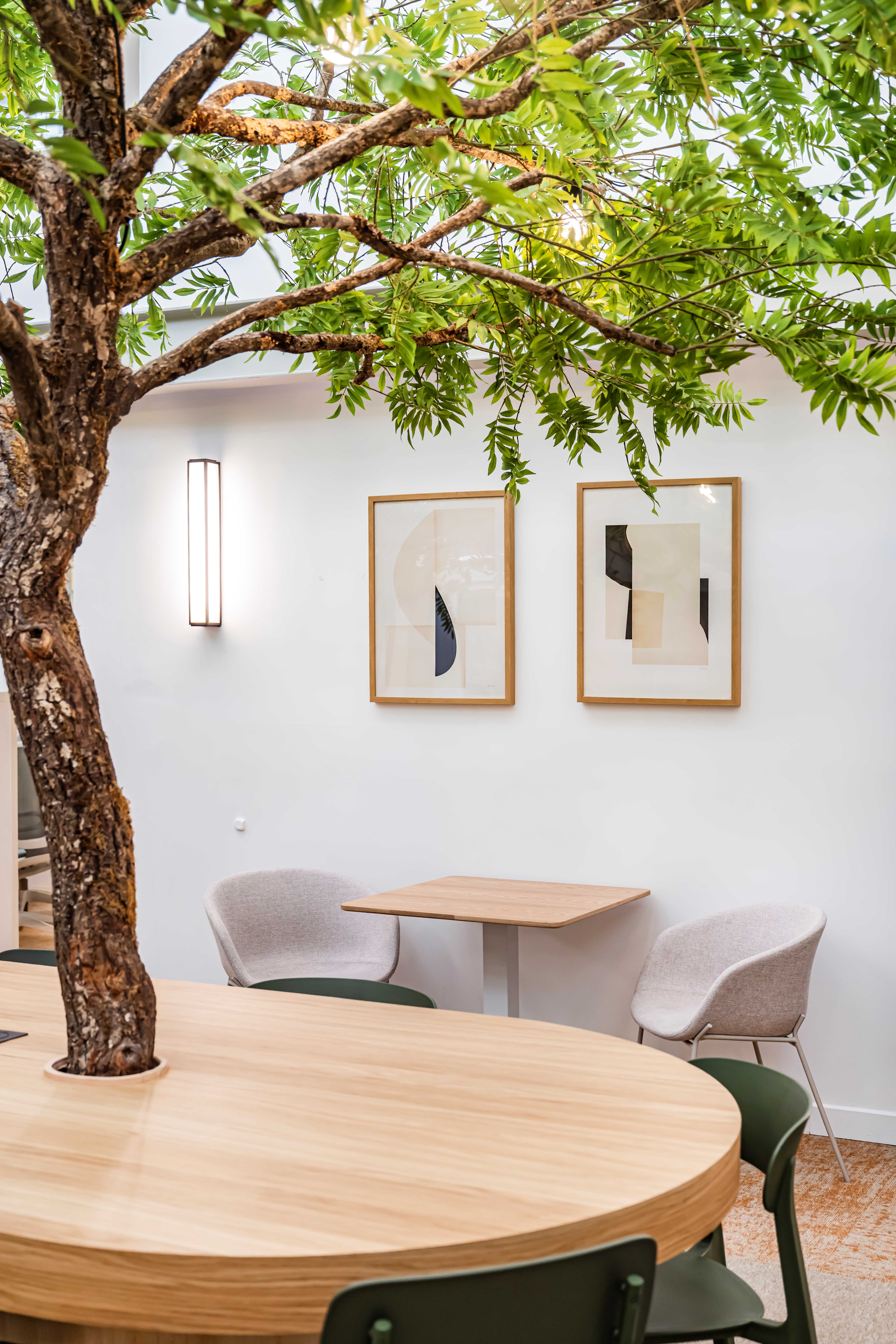 Espace de bureau moderne avec grande table en bois, chaises et arbre intérieur pour un décor naturel.