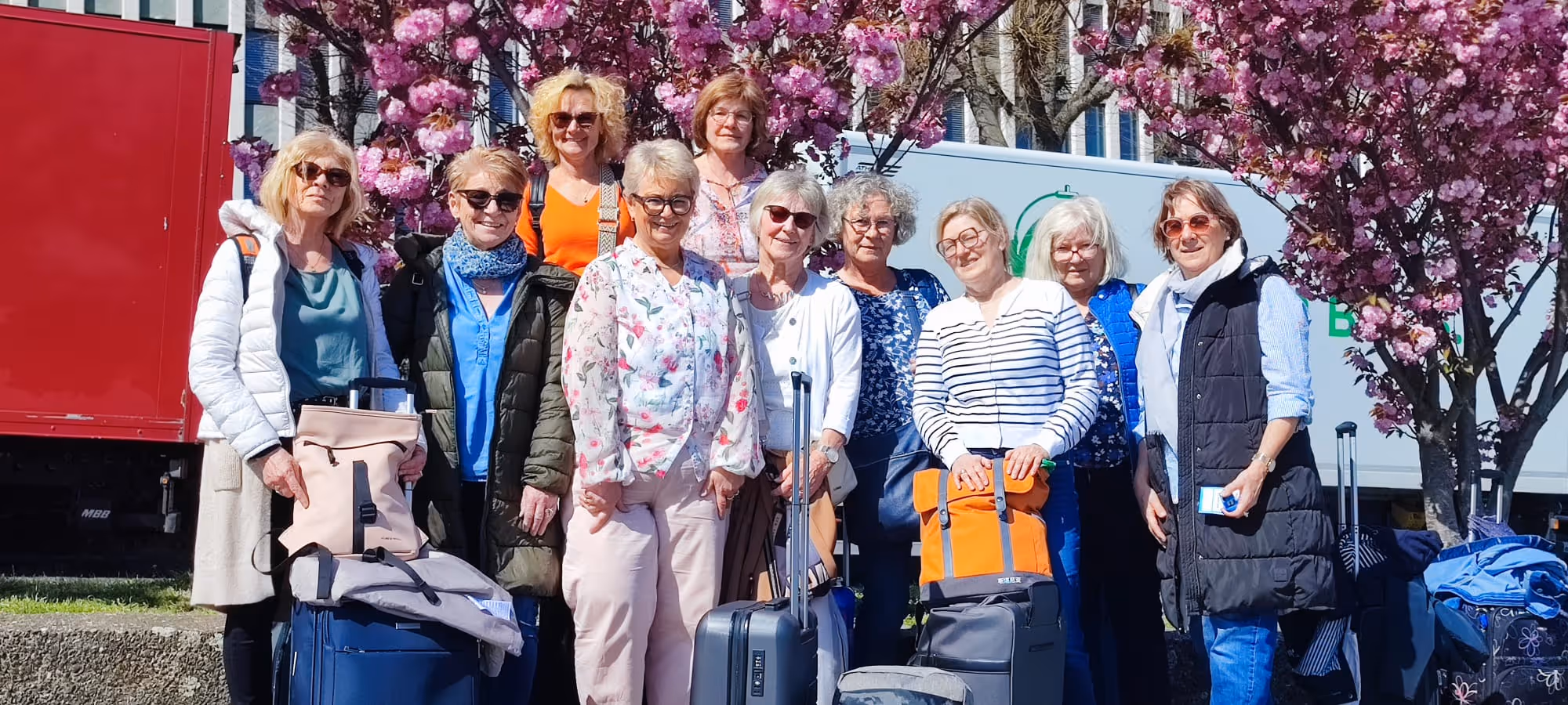 Gruppe von zehn Frauen, die mit Gepäck unter blühenden rosa Kirschbäumen im Freien stehen.