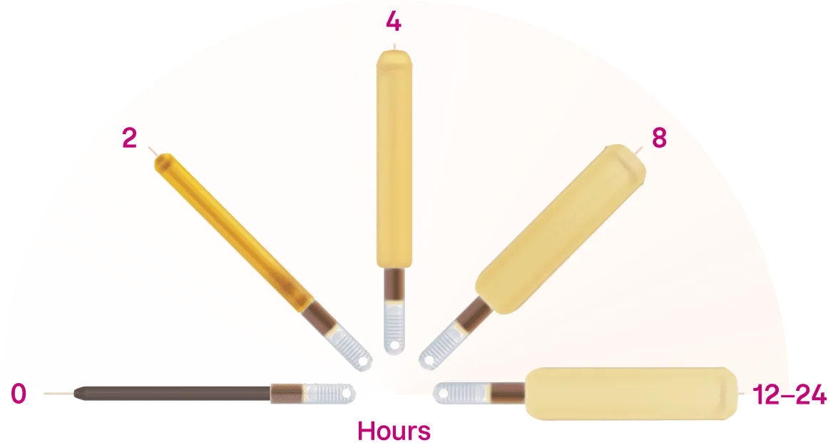 Understanding DILAPAN-S