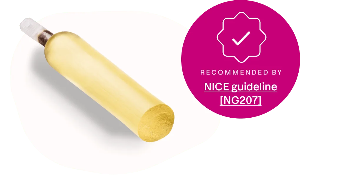 Navigating DILAPAN-S usage