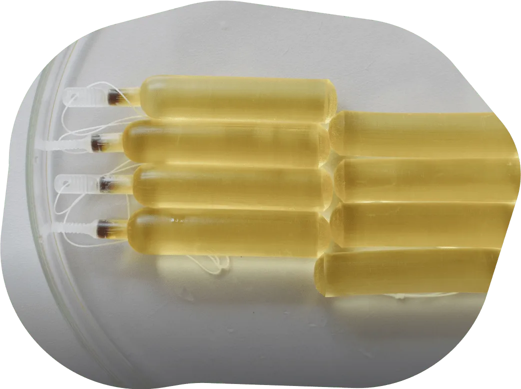 DILAPAN-Shealthcare economics