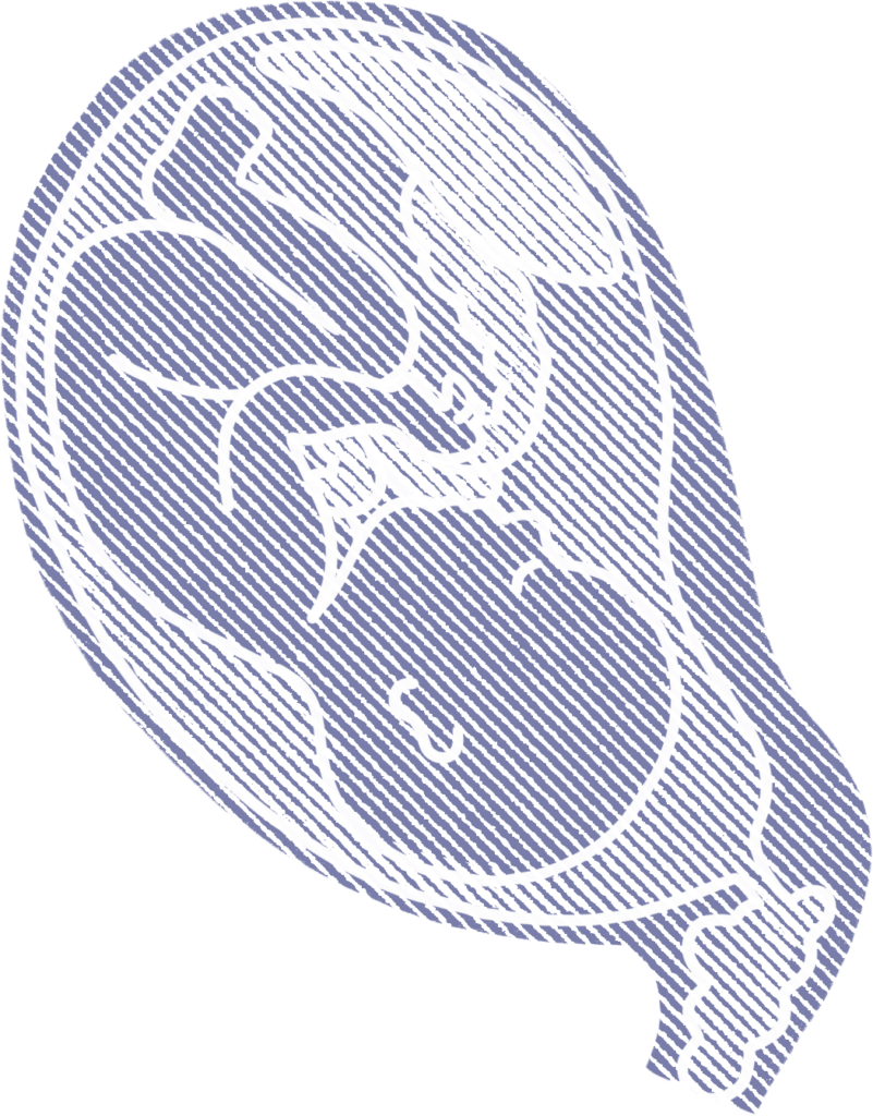 Illustrations for communication towards HCP