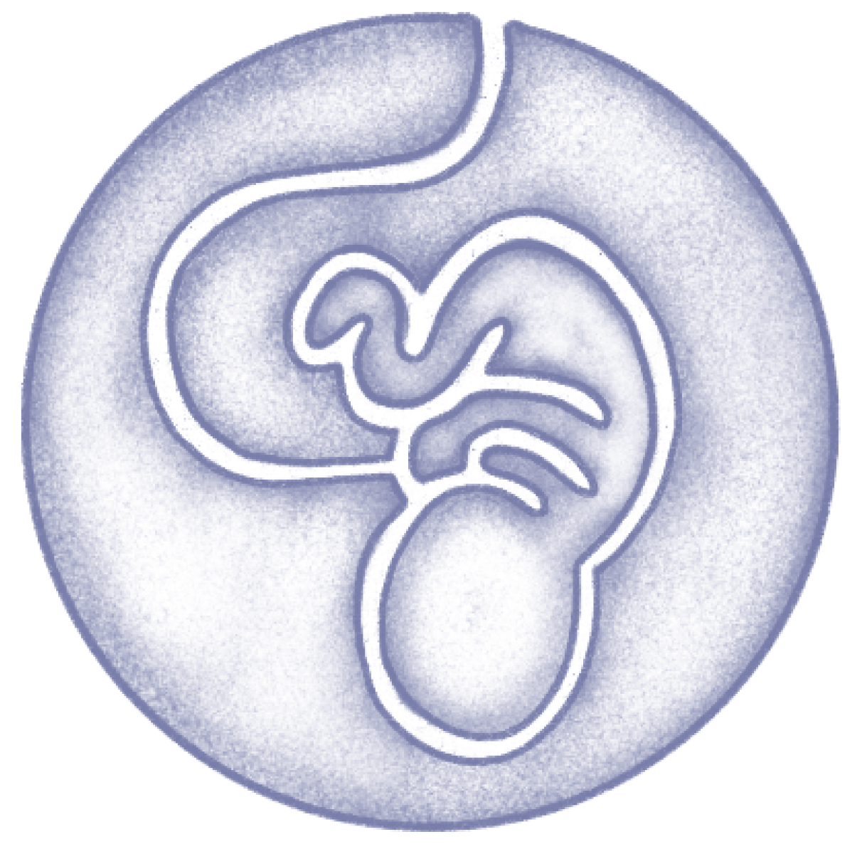 Illustrations for communication towards HCP