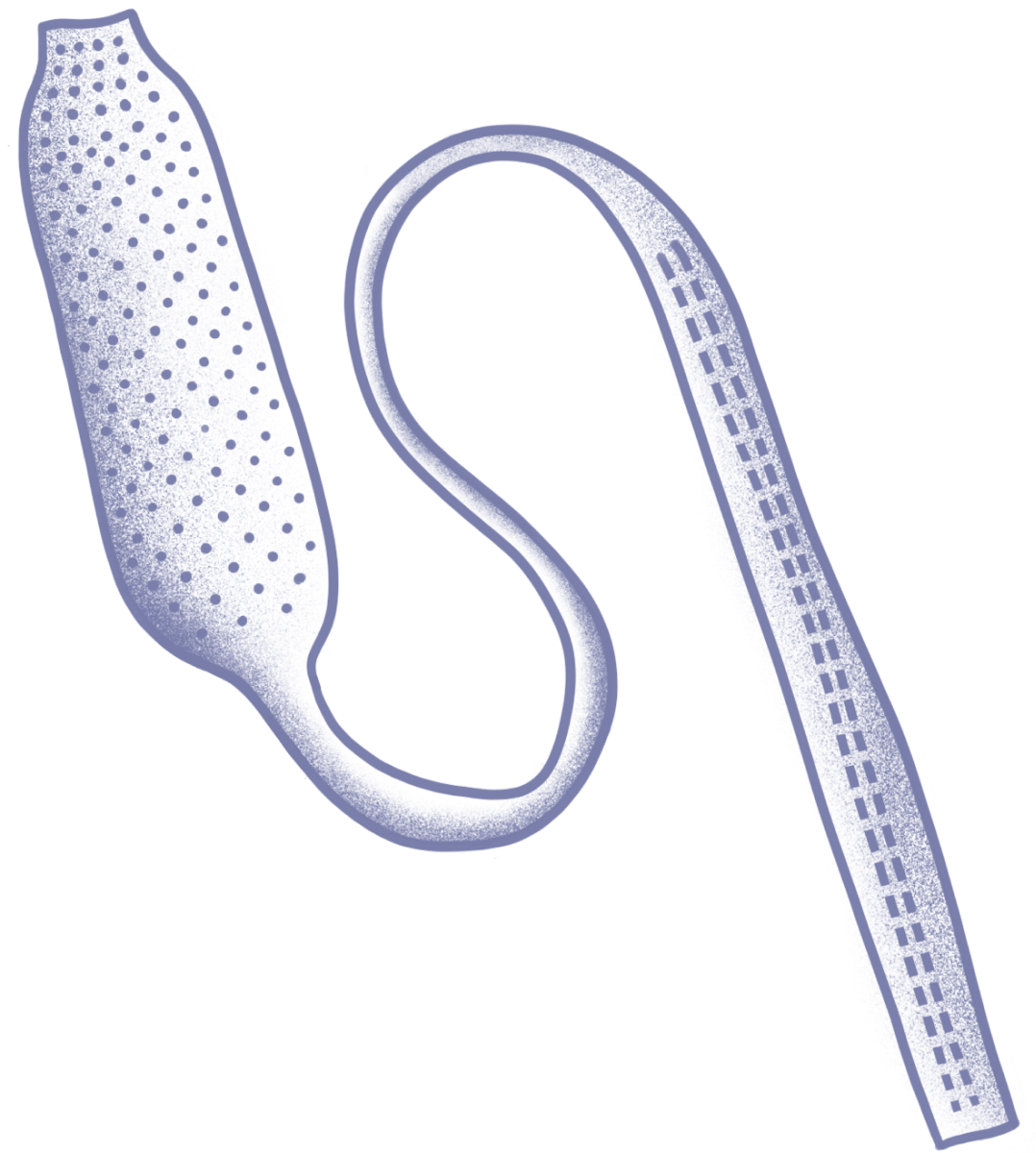 Illustrations for communication towards HCP