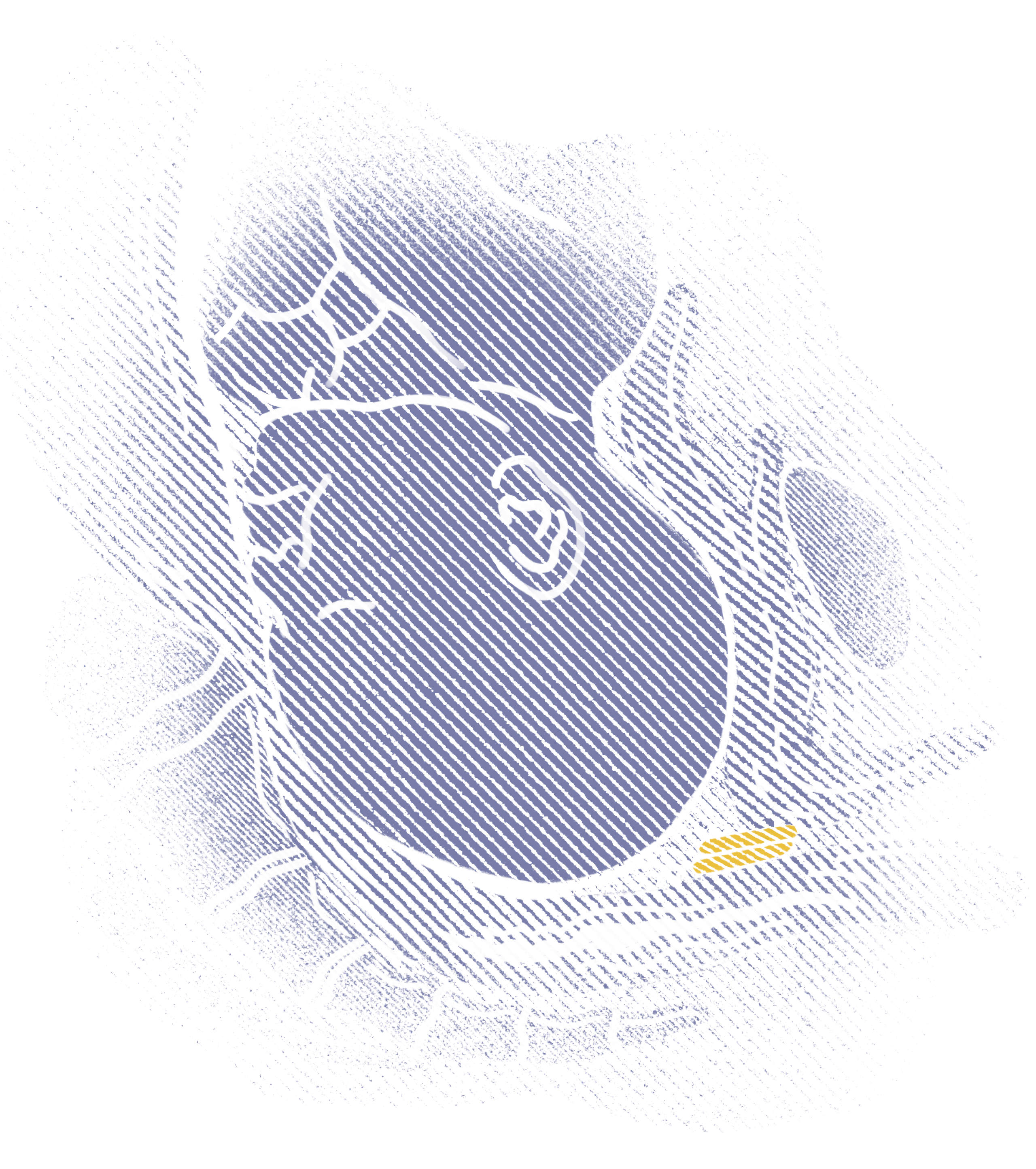Illustrations for communication towards HCP
