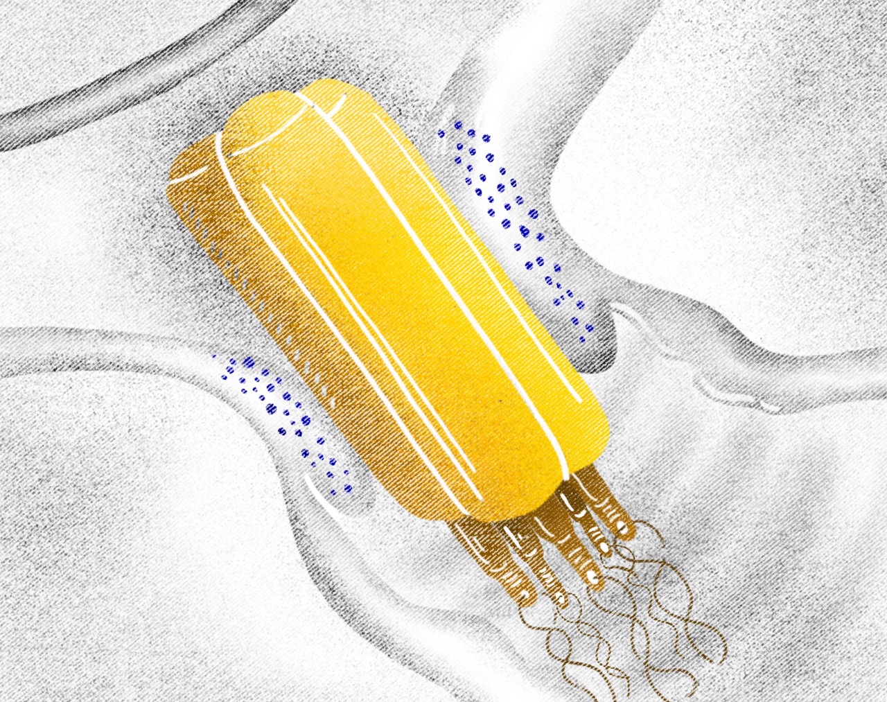 Illustrations for communication towards HCP