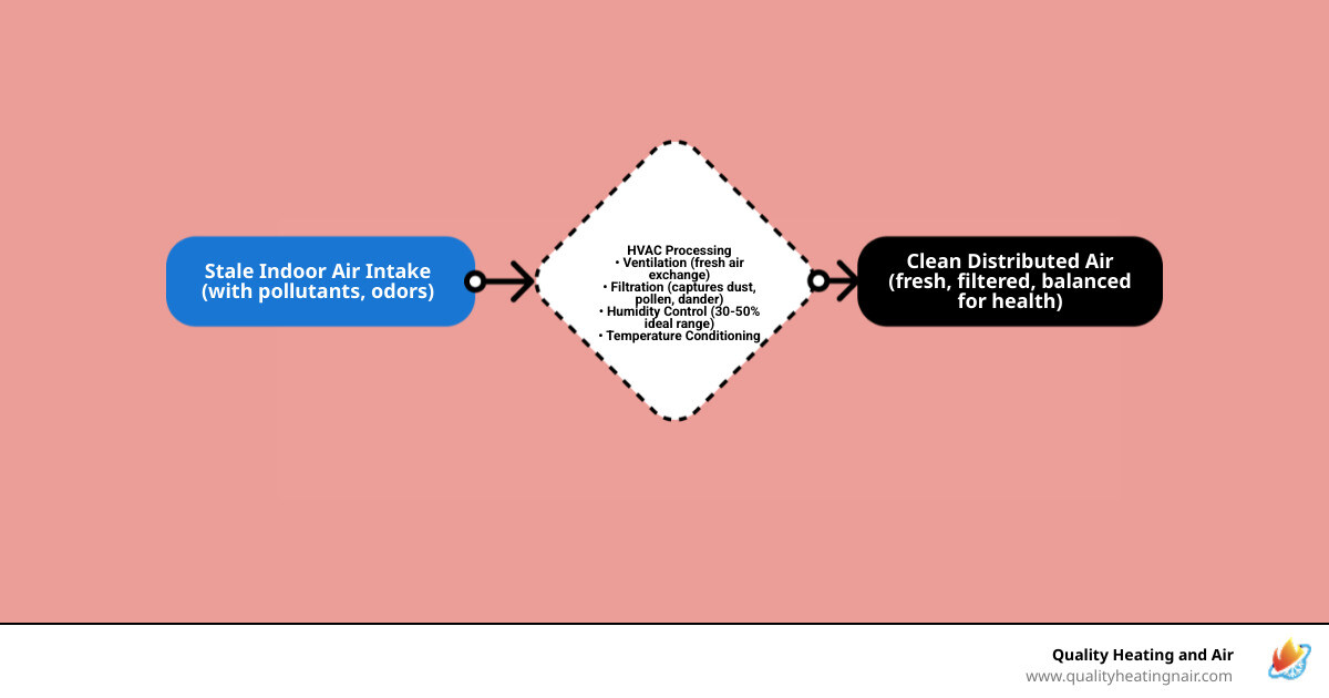 Infographic showing HVAC air circulation cycle from intake through filtration humidity control and distribution - how your
