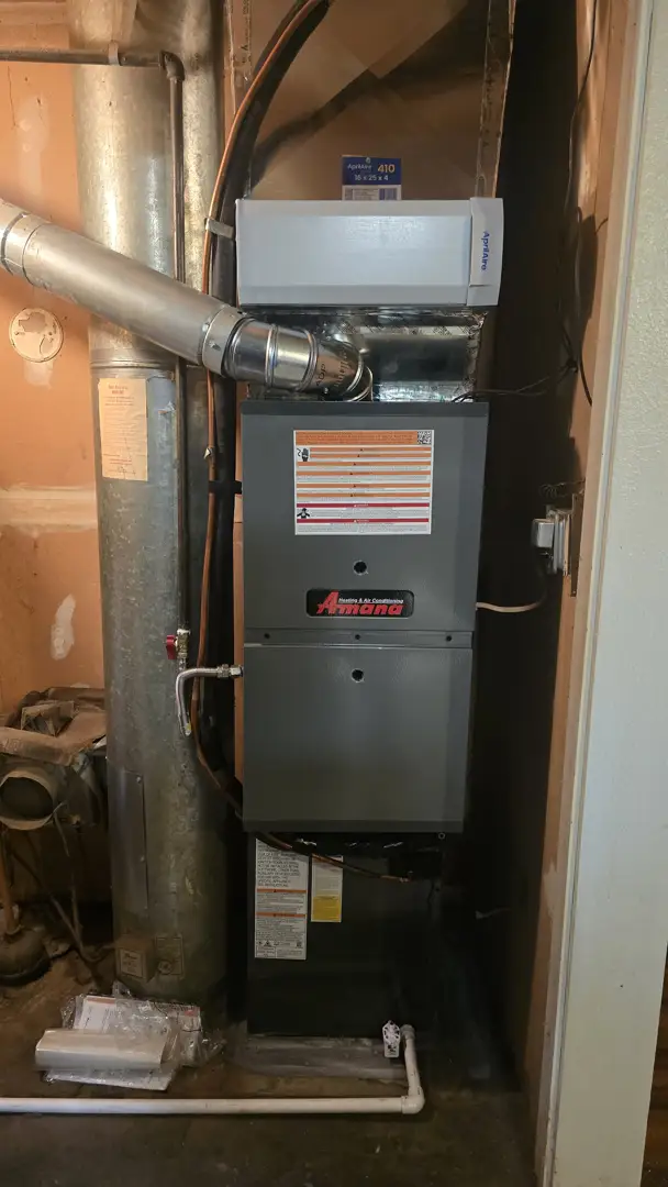 Clear the Air with These Purifier Perks