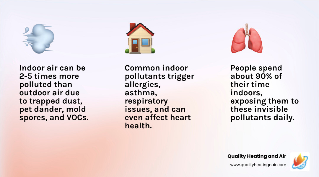 Infographic showing common indoor air pollutants including dust, pet dander, pollen, mold spores, and VOCs with health
