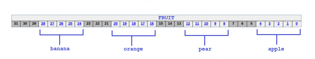 Randomizing Fields of Register 1