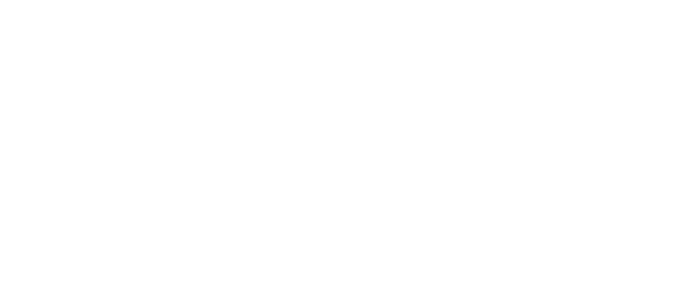Geico
