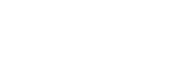 Verizon