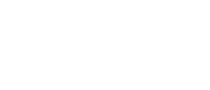 Stella Artois