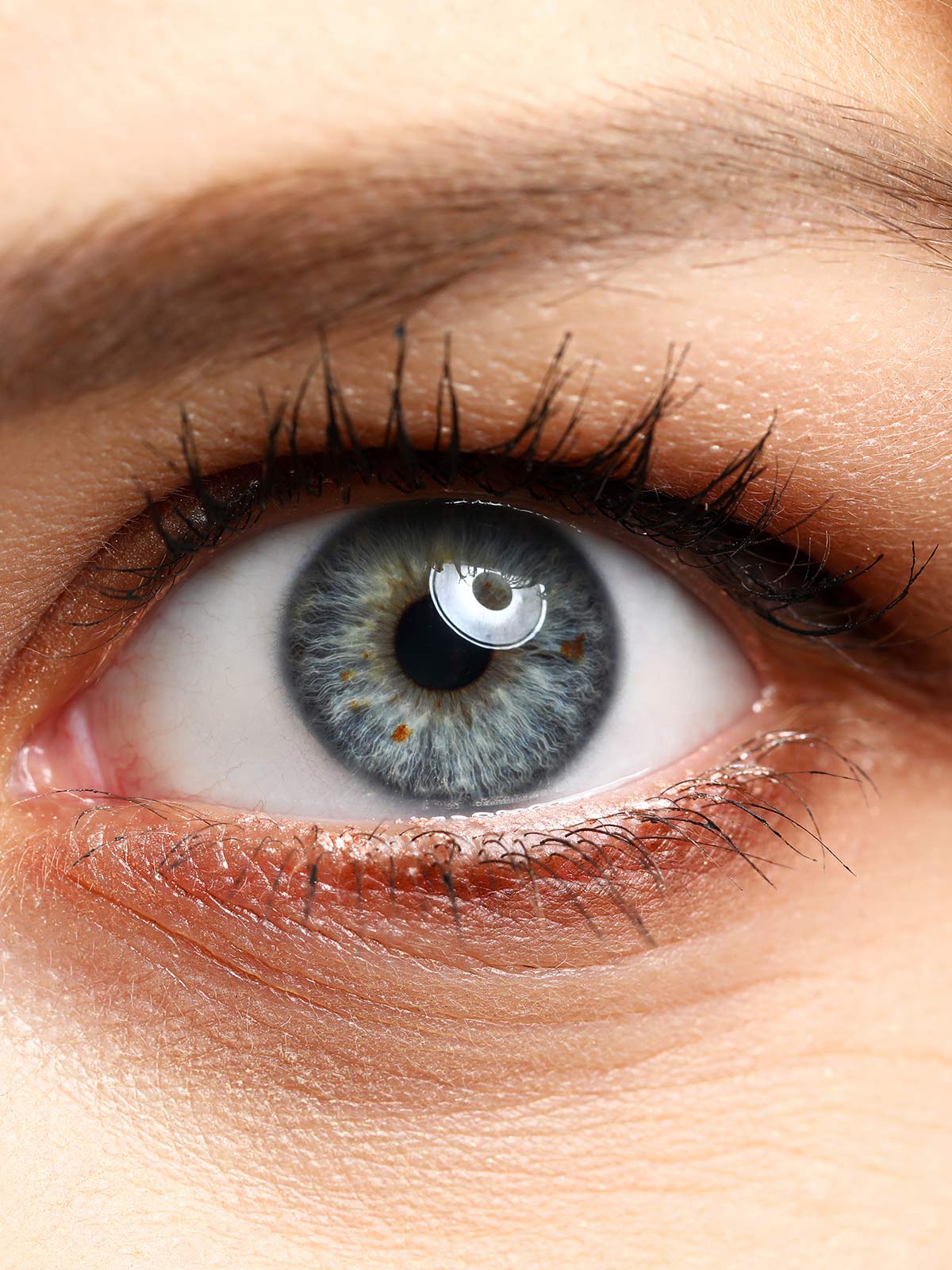 Irydologia w HOLISTIC MED