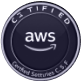 AWS Partner Badge