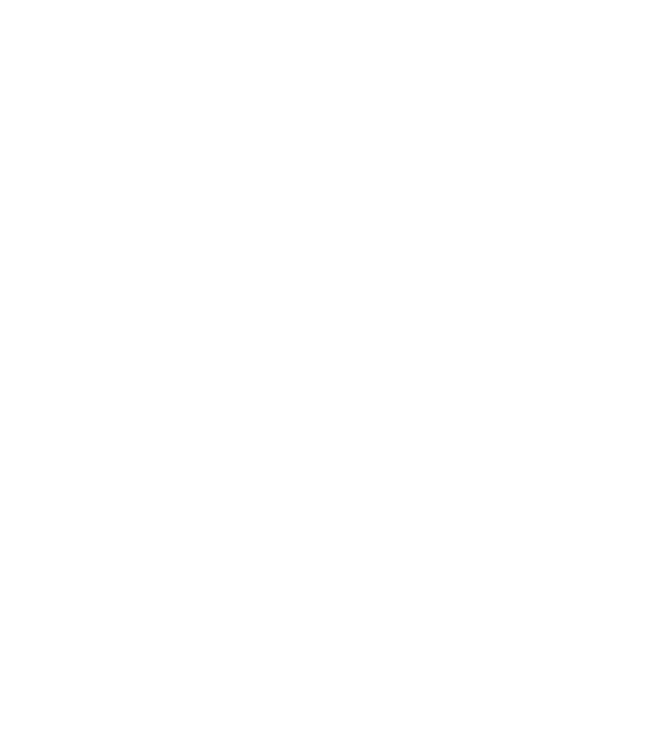 ShopifyLogo