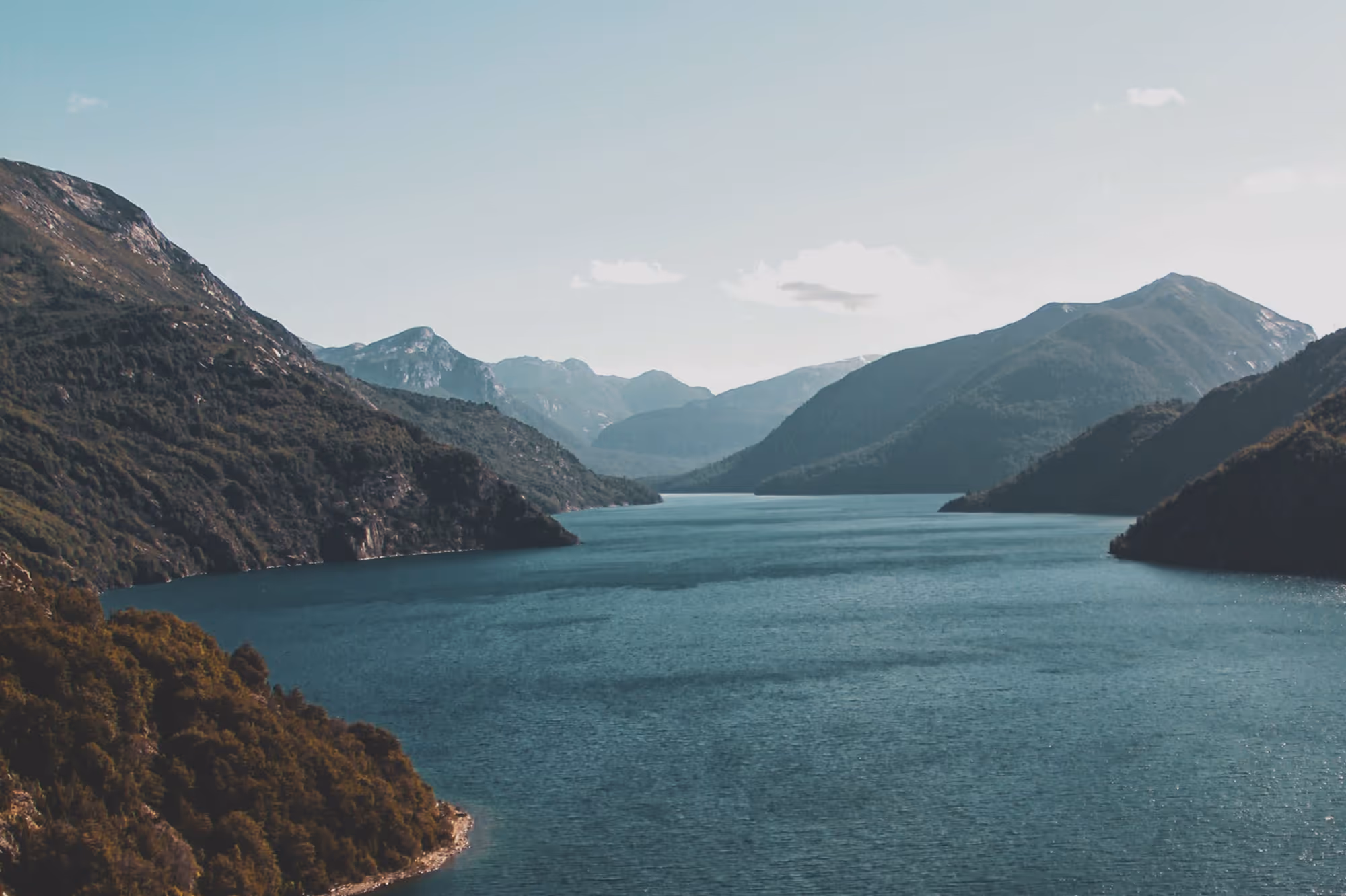 Ein ruhiger Fjord umgeben von bewaldeten Bergen unter einem hellblauen Himmel.
