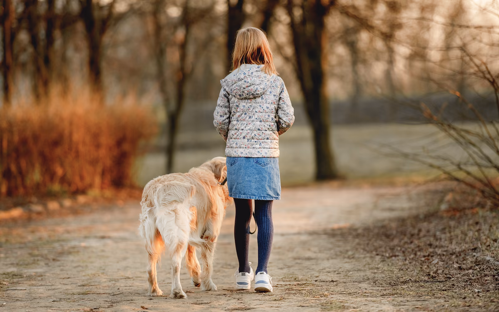 Ein Mädchen geht mit einem Hund auf einem Weg spazieren, von hinten gesehen.