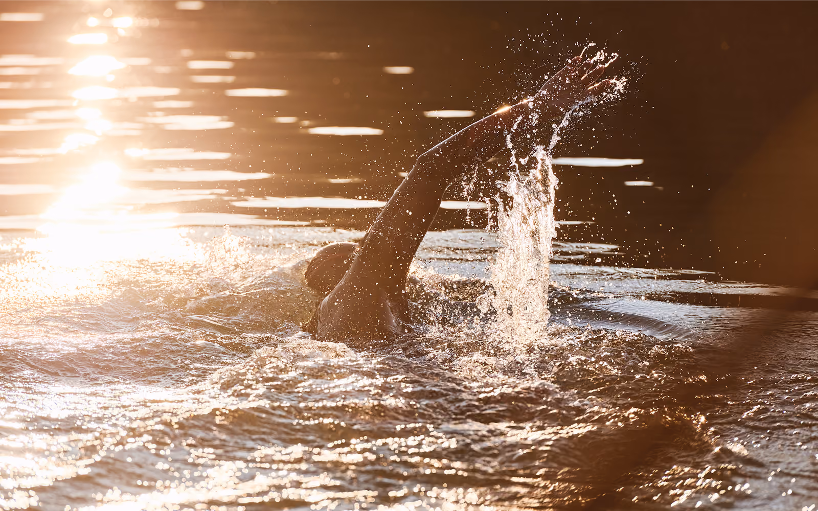 Ein Schwimmer hebt den Arm aus dem Wasser, im Hintergrund spiegelt sich die tiefstehende Sonne.