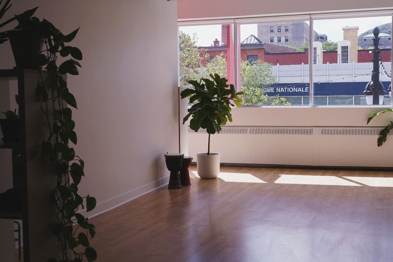 Sunlit room with wooden floor featuring a potted plant near a large window showing an urban view outside.