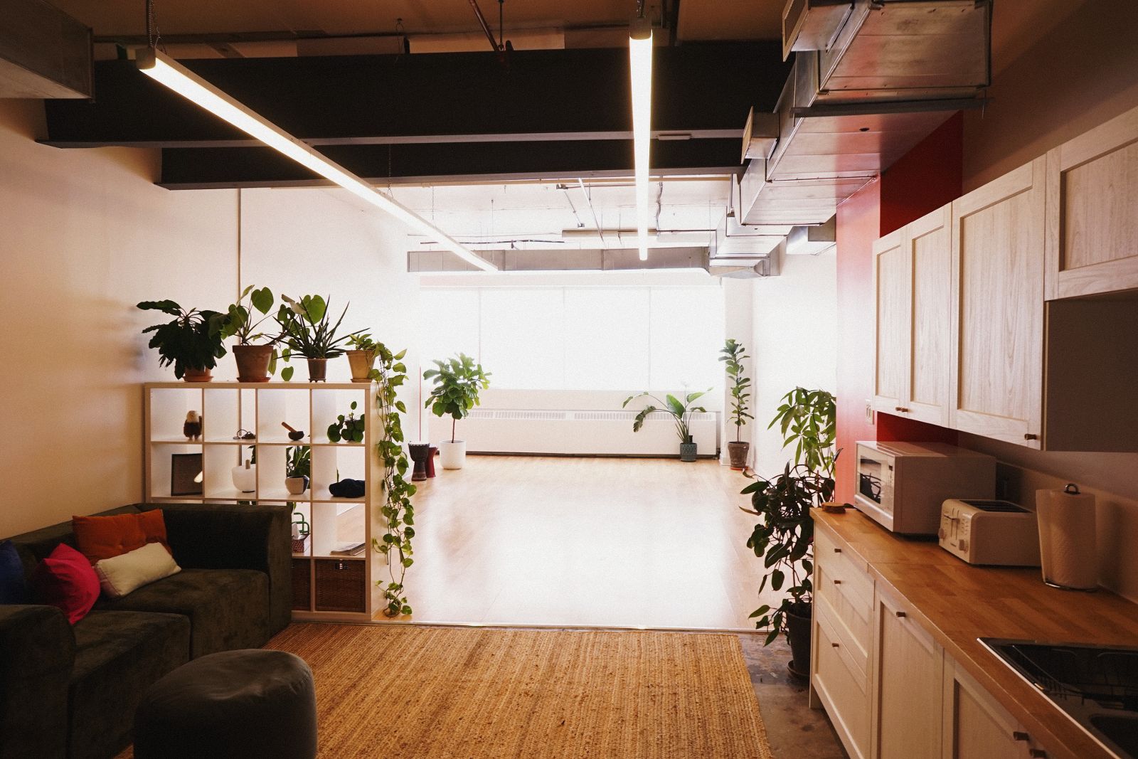 Bright, modern living space with wooden floors, a green couch with colorful pillows, a shelf with potted plants, and a kitchen area with wooden cabinets and appliances.
