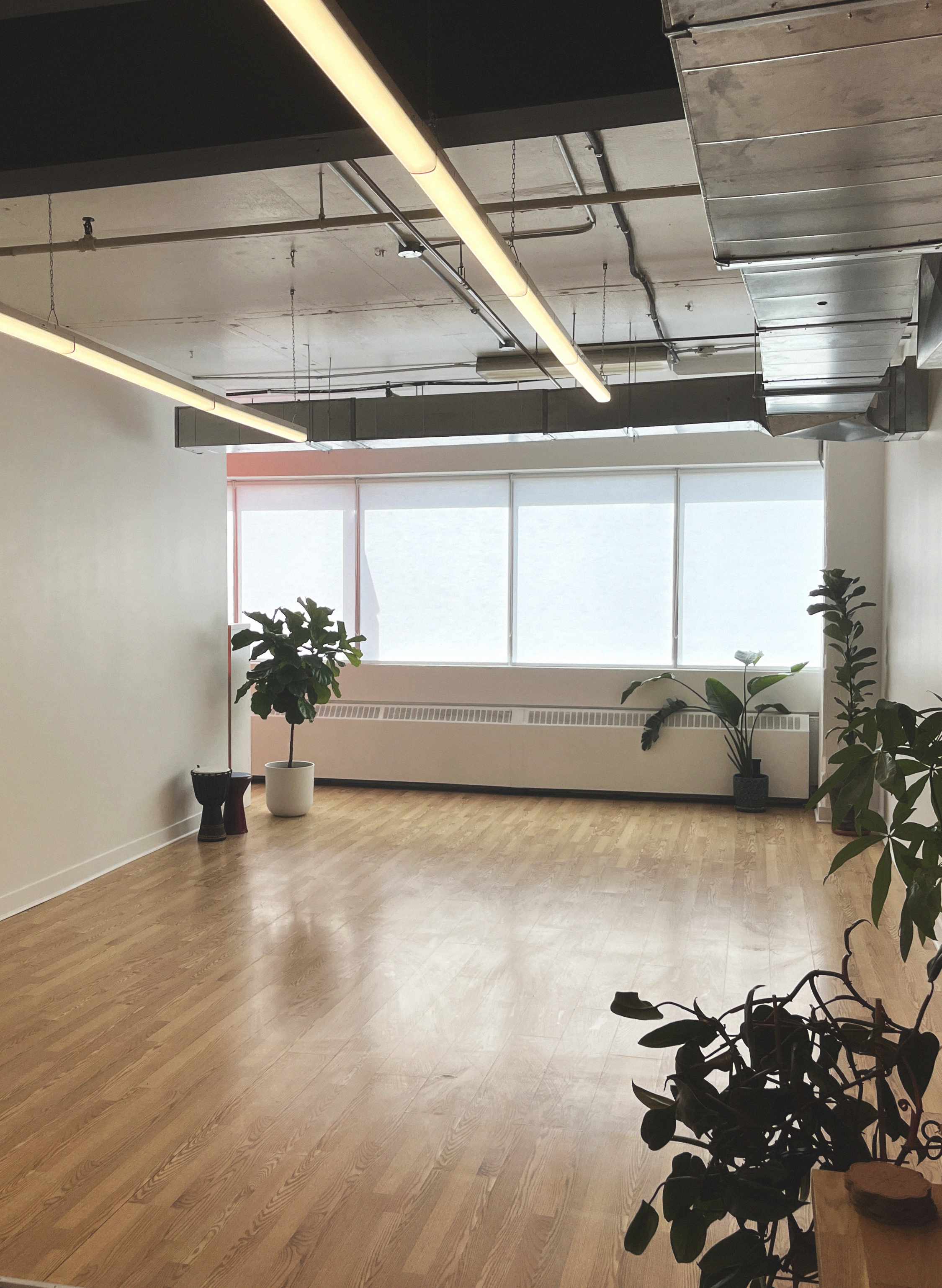 Spacious room with wood flooring, potted plants, large windows with blinds, and exposed ceiling lights and ducts.