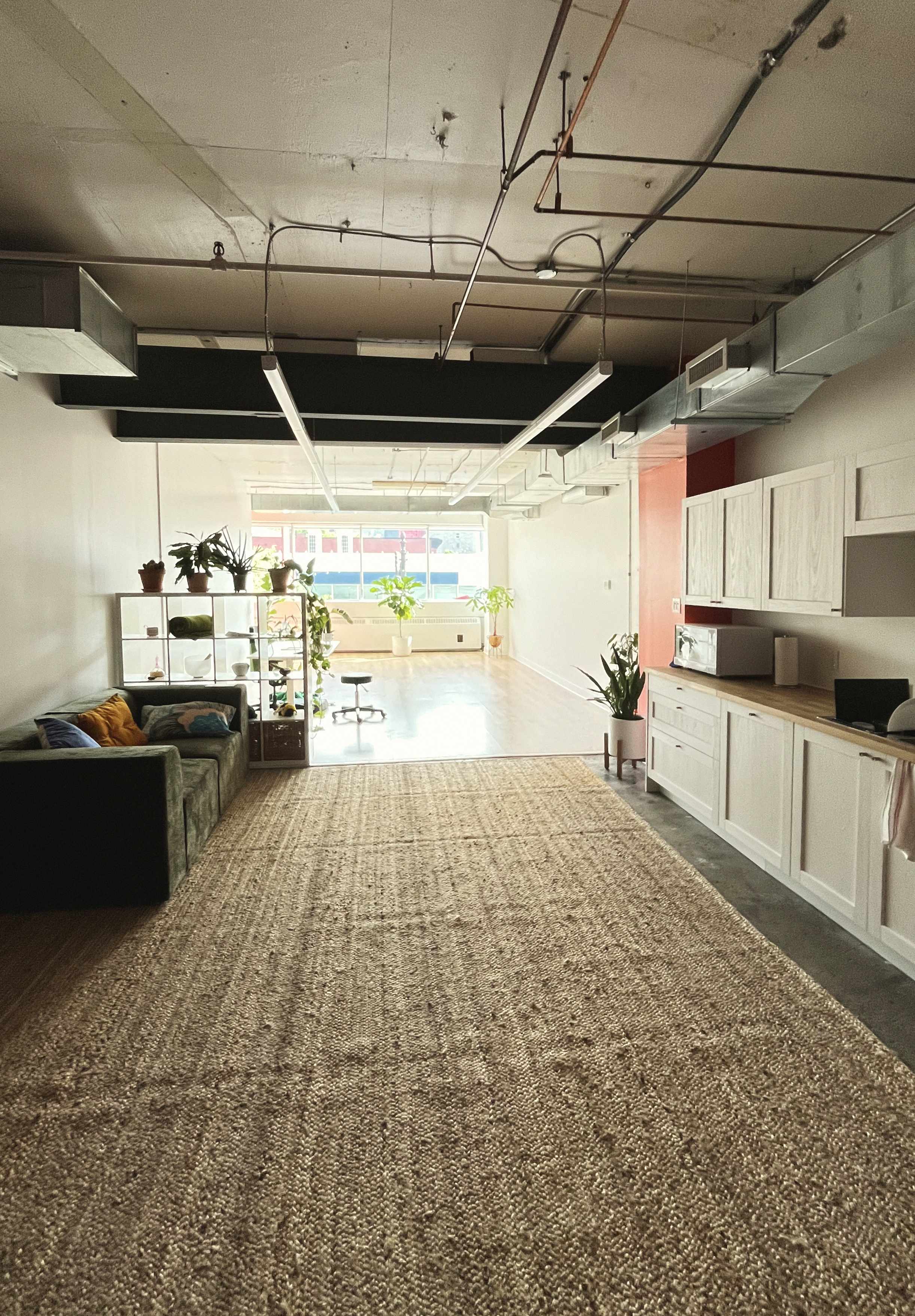 Bright modern living space with a large woven rug, green velvet sofa, white shelving with plants, and a kitchenette with white cabinets and wooden countertop.
