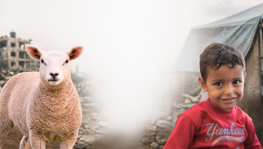 Qurbani / Udhiya 2026