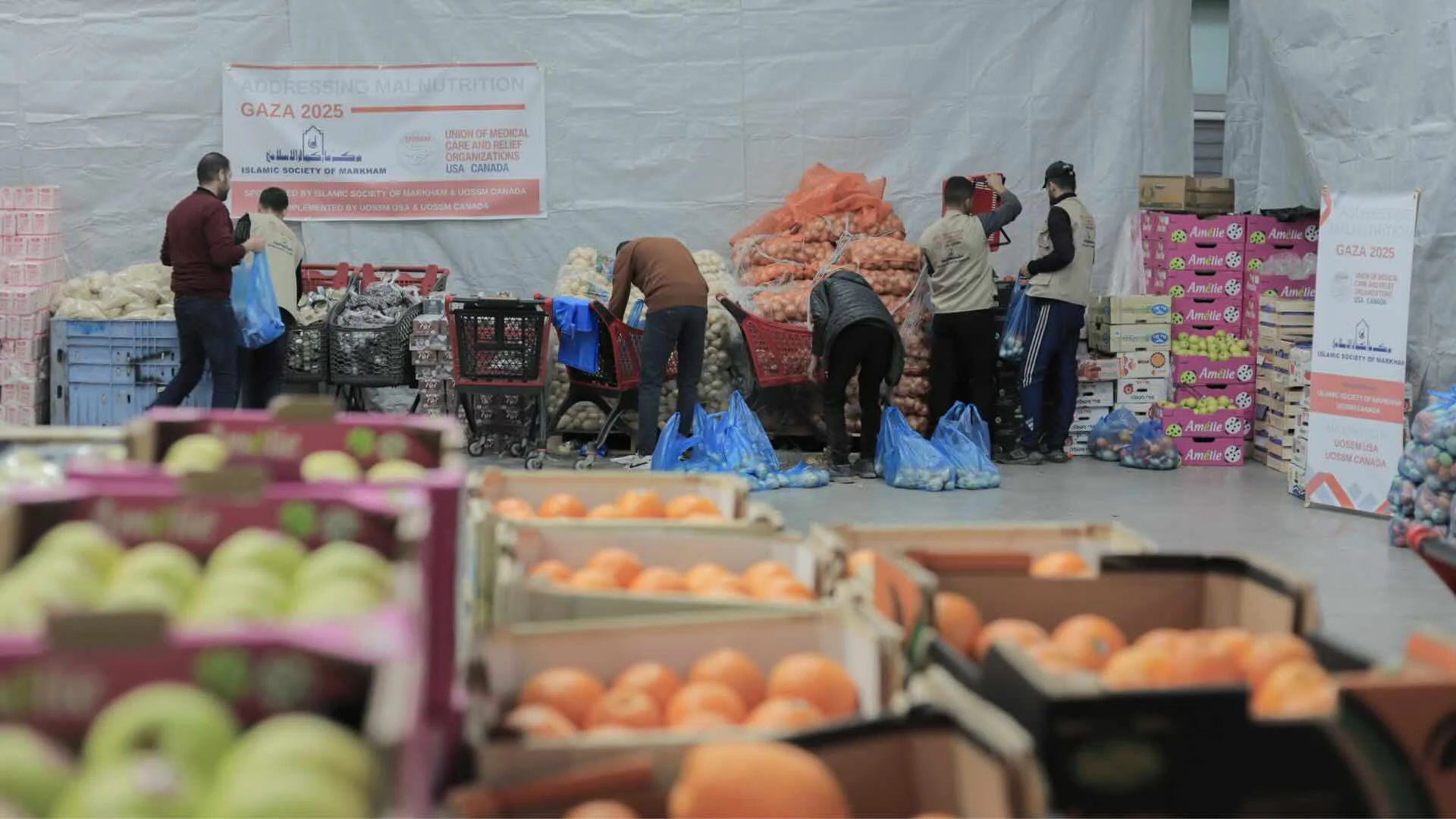 Addressing Malnutrition in Gaza