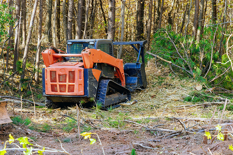 Skid Steer C&L Land Clearing Kentucky