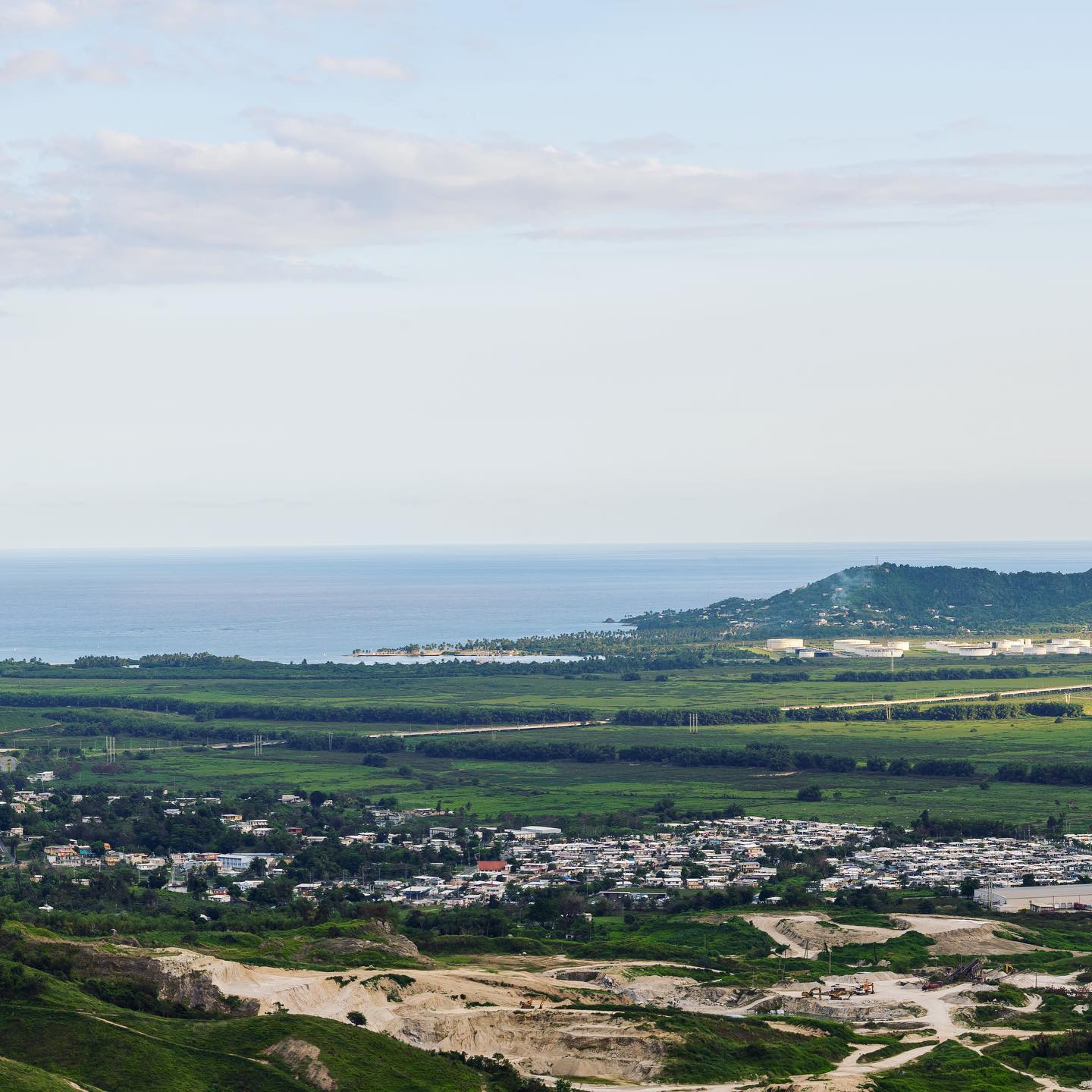 image of volunteerism in nature for an environmental conservation nonprofit