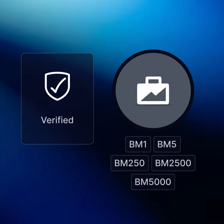 Verified Facebook Business Managers